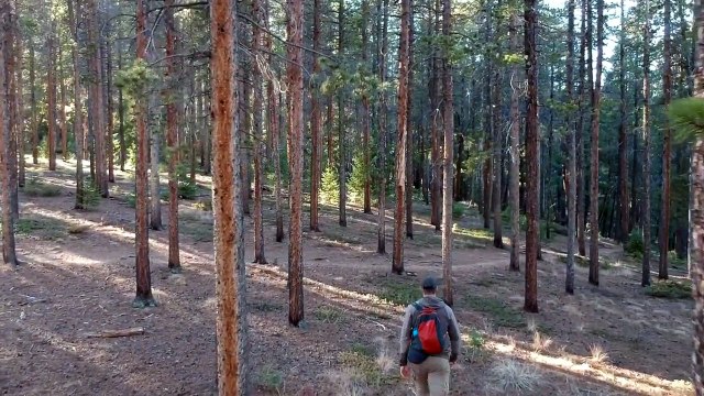 Pocket Size Ultralight Daypacks by Osprey & Sea To Summit