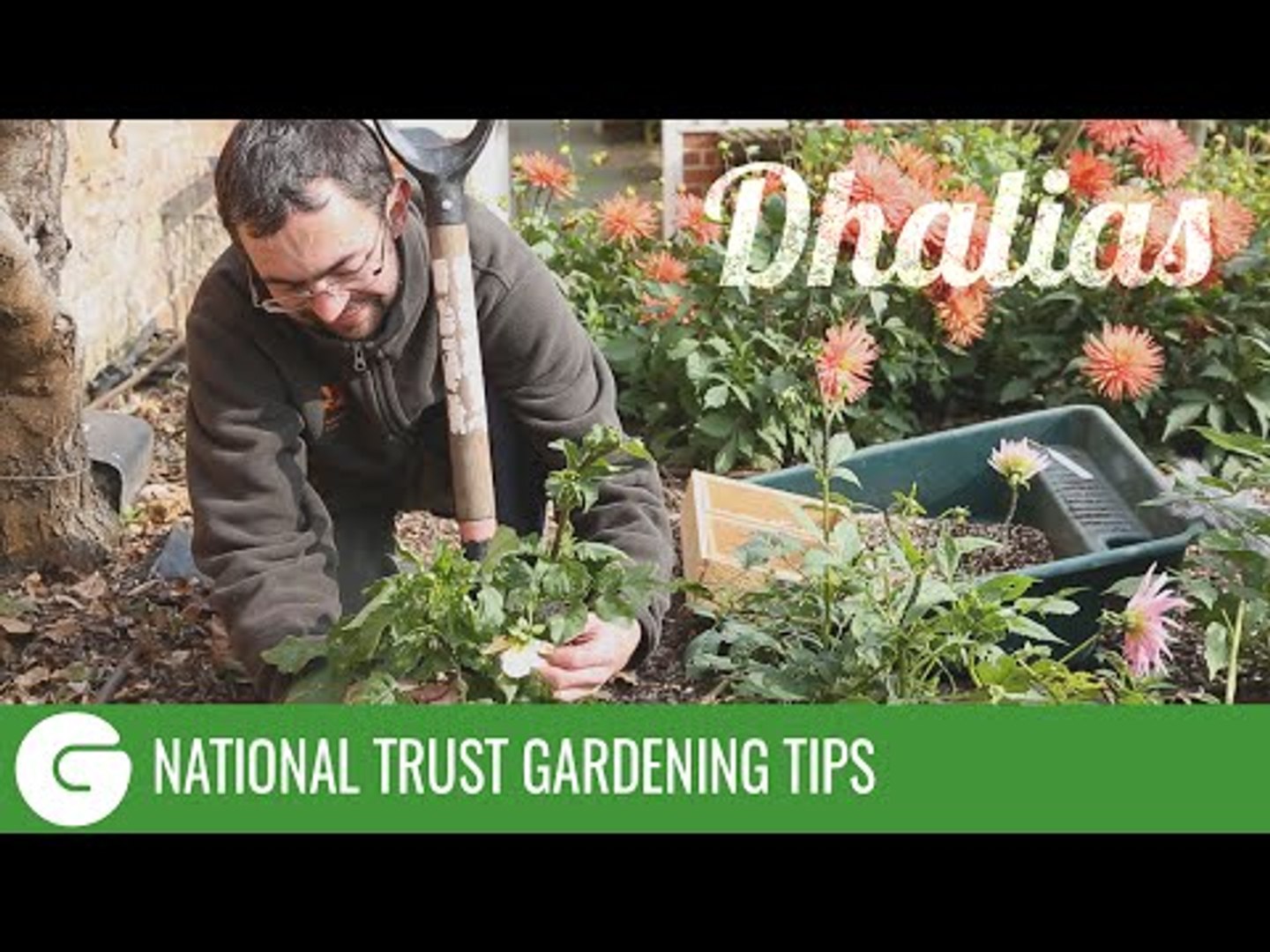 ⁣National Trust Gardening Tips: Dahlias