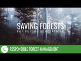 Saving Forests For Future Generations