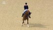 The Lion King Medley in Equestrian Dressage at the London 2012 Olympics _ Music Monday-87-Q6Gt