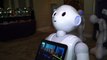 Nuevos robots “emocionales” capaces de leer sentimientos humanos