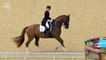 The Lion King Medley in Equestrian Dressage at the London 2012 Olympics _ Music Monday-87-Q6GtBrm8