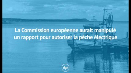 La Commission Européenne accusée d’avoir négligé une étude scientifique sur la pêche électrique