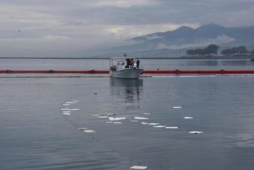 Urla'da Üniversite Yerleşkesinden Denize Akan Fuel Oil, Kirliliğe Neden Oldu