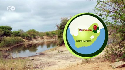 Using photography as a conservation tool | DW English