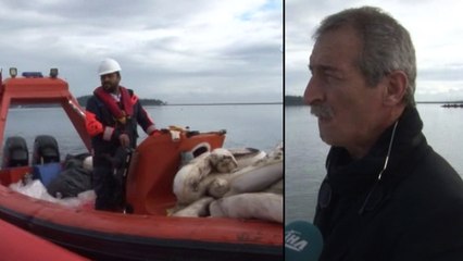 Urla’da denize fuel oil aktı