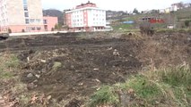 Trabzon Yıkılan Eski Köy Enstitüsü Binaları İçin 'Ahır' İfadesine Tepki 1
