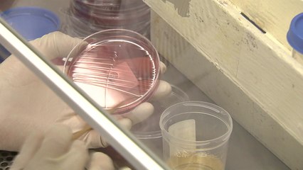 신생아에 치명적 세균...미 FDA 경고 약물 주사 / YTN