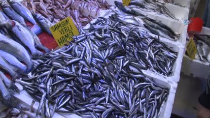 Havalar Soğudu, Hamsi Fiyatları Yarı Yarıya Düştü