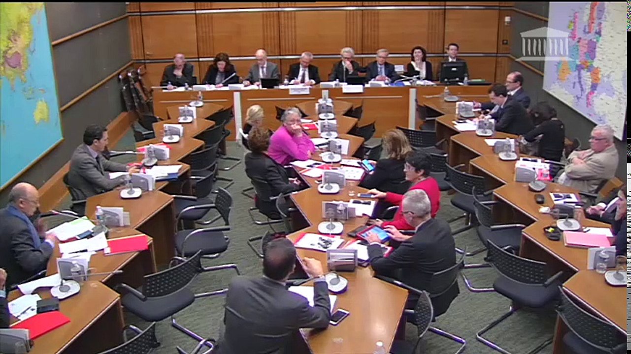 Commission du développement durable : M. Dominique Minière, dir. du parc nucléaire et thermique d’EDF sur la faisabilité du démantèlement - Mercredi 22 février 2017