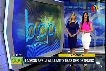 Trujillo: cámara capta a sujeto robando cachorro de raza pitbull
