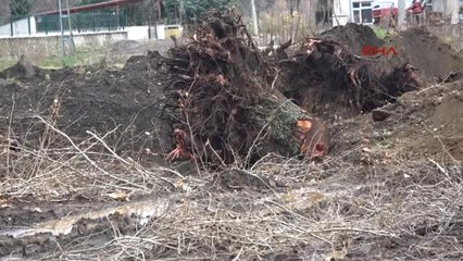 Trabzon-Yıkılan Eski Köy Enstitüsü Binaları İçin 'Ahır' İfadesine Tepki