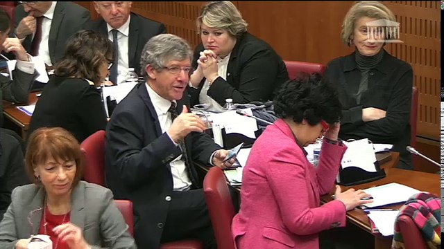 Commission des affaires culturelles : Territoires de l'éducation artistique et culturelle - Mercredi 8 février 2017