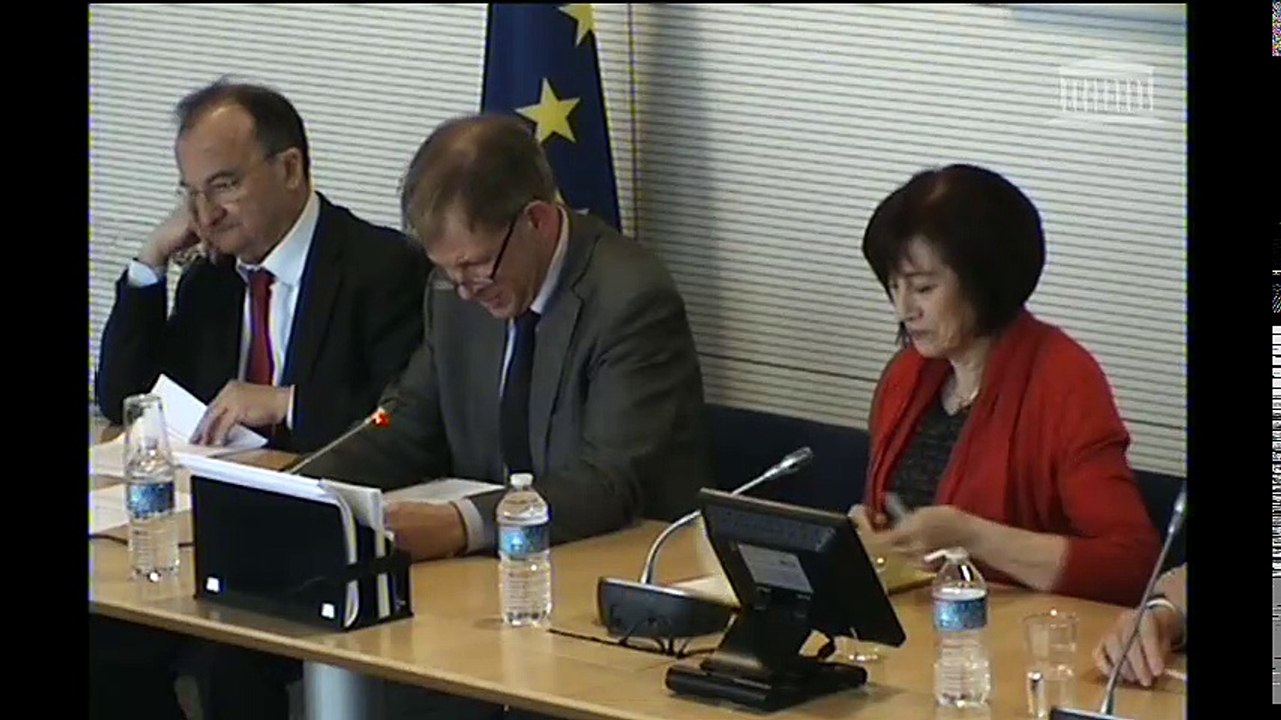 Commission des affaires européennes : Avenir de la politique agricole commune ; Politique européenne du cinéma ; Missions européennes PSDC au Mali - Mardi 14 février 2017