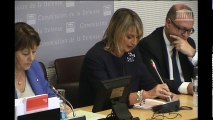 Commission de la défense : projet Source Solde - Mercredi 1 février 2017