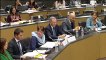 Commission des affaires culturelles et commission des affaires européennes : table ronde sur le cinéma et l'audiovisuel européens (première partie) - Mercredi 8 février 2017