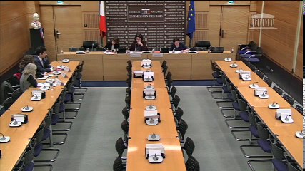 Protection des données personnelles : auditions diverses - Mardi 31 janvier 2017