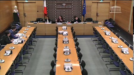 Protection des données personnelles : auditions diverses - Mardi 31 janvier 2017