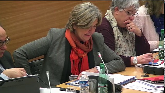 Commission des lois : Obligations déontologiques des membres du Conseil constitutionnel ; Modalités de dépôt de candidature aux élections ; Obligation de casier judiciaire vierge pour les candidats à une élection - Mercredi 25 janvier 2017
