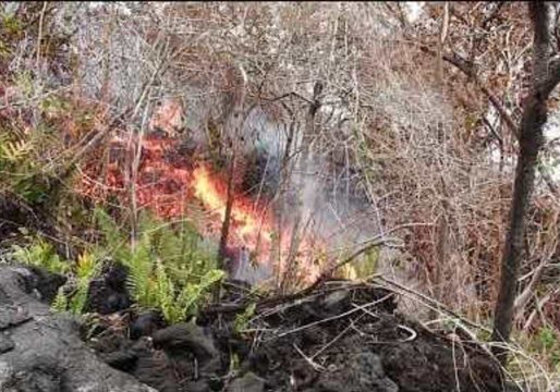 Lava Swallows Vegetation Growing on Hills in Hawaii