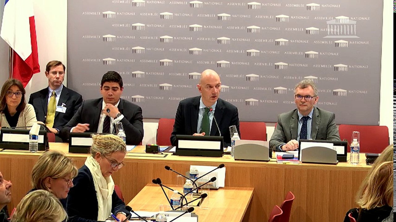 Commission des affaires économiques : fusions d'entreprises et protection fleurons industriels (PR) - Mercredi 25 octobre 2017