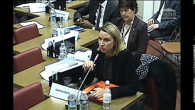 Commission des affaires étrangères : Ratification de conventions - Mercredi 22 novembre 2017