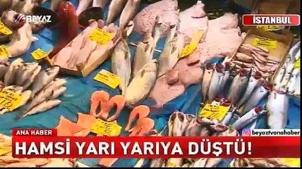 Hamsi yarıya düştü