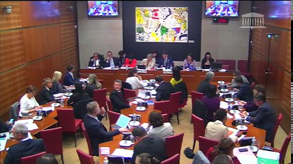 Commission des affaires culturelles : Mme Sophie Cluzel, ministre - Mercredi 11 octobre 2017