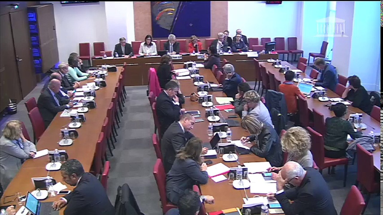 Commission des Affaires sociales : M. Alexandre Saubot, président de l'UNEDIC - Mercredi 4 octobre 2017