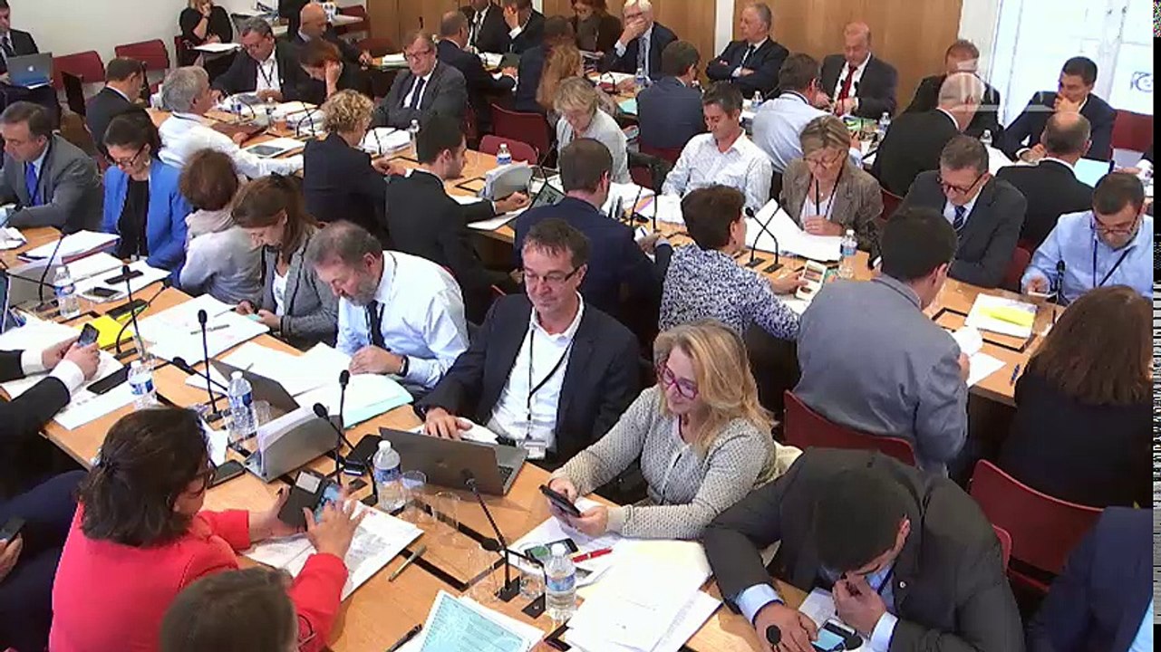 Commission des affaires économiques : Compétitivité de l’agriculture française (PPL) - Mercredi 4 octobre 2017