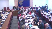 Commission des affaires sociales : Mme Muriel Pénicaud, ministre du travail - Lundi 31 juillet 2017