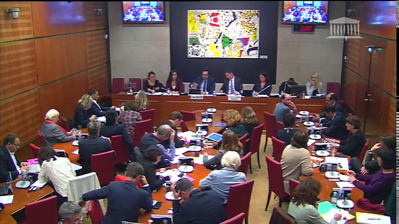 Commissions des affaires culturelles : Désignation des membres du groupe de travail sur les Jeux Olympiques et Paralympiques de Paris en 2024 ; Audition de M. Mounir Mahjoubi, secrétaire d’État chargé du numérique  - Mercredi 27 septembre 2017