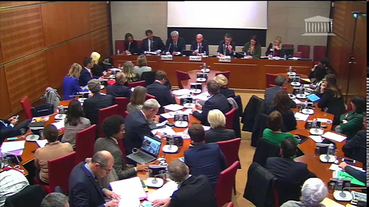 Commission des affaires culturelles : M. Bernard Laporte, pdt de la FFR sur la candidature de la France à la coupe du monde de rugby 2023  - Mercredi 8 novembre 2017