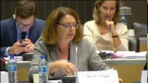 Commission des affaires étrangères : Mme Nathalie Loiseau, ministre des affaires européennes - Mardi 25 juillet 2017