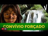 Brasil: CONVÍVIO FORÇADO │História do Brasil .feat Pirula