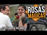 DANDO ROSAS MÁGICAS (Dia das Mães) - Stupidshow