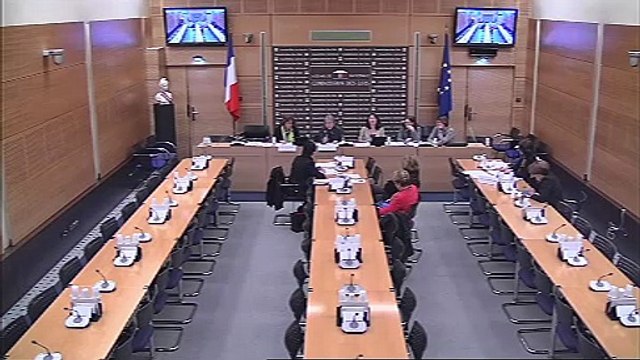 Audition de Mme Ernestine Ronai, sur les violences faites aux femmes - Mercredi 27 mars 2013