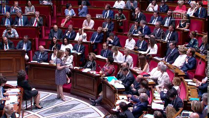 1ère séance : Questions au Gouvernement ; Ordonnances diverses - Mercredi 19 juillet 2017