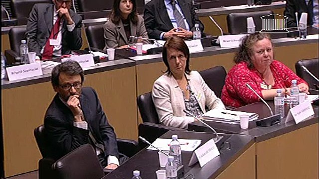 M. Jean-Yves Le Déaut, 1er vice-Pdt de l'OPECST - Jeudi 21 février 2013