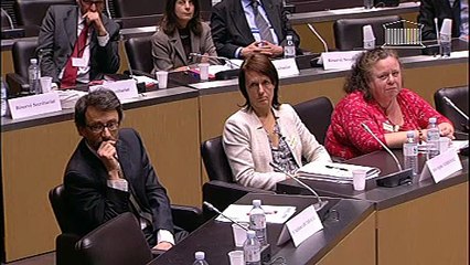 M. Jean-Yves Le Déaut, 1er vice-Pdt de l'OPECST - Jeudi 21 février 2013