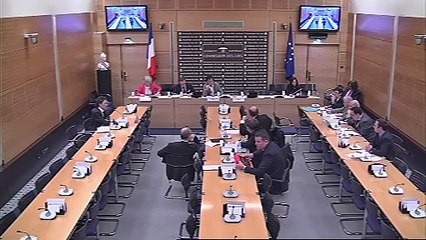 Audition de M. Marc Trévidic, juge d'instruction au pôle antiterroriste - Jeudi 14 février 2013