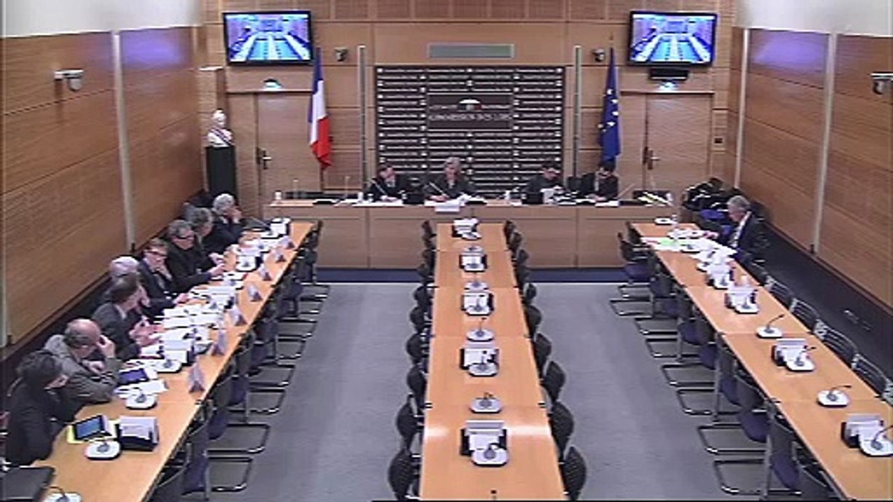 Audition des représentants des chambres de commerce, d'agriculture et de l'artisanat  - Jeudi 7 février 2013