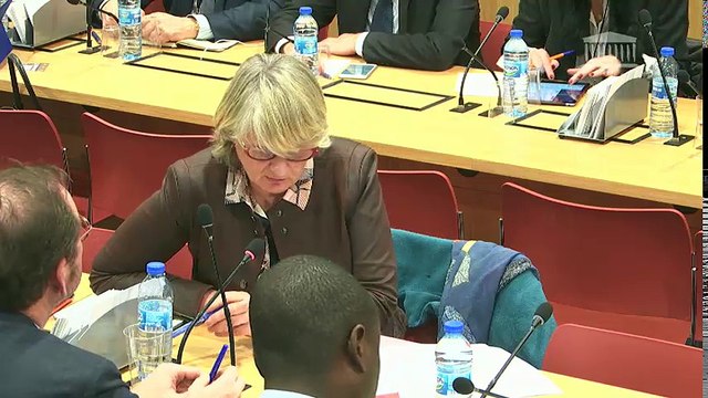 Commission des affaires économiques : M. Alain Weill, Pdg du groupe SFR ; marché unique numérique (PPR) - Mercredi 13 décembre 2017