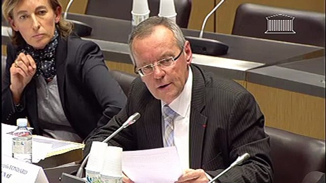 Audition de l'Union nationale des associations familiales (UNAF) - Jeudi 22 novembre 2012