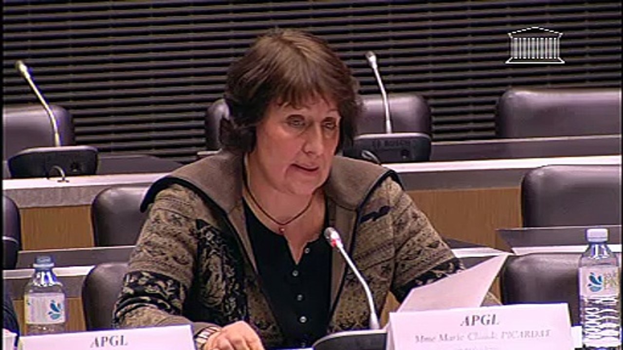 Audition de l'Association des Parents et futurs parents Gays et Lesbiens - Jeudi 6 décembre 2012