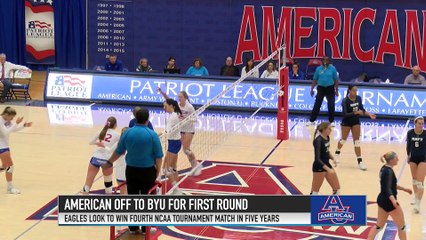 PLN Studio Update | 11.28.17