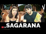 SAGARANA: Guimarães Rosa│ Literatura. feat. Taty Leite