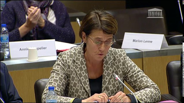 Commission des affaires étrangères : M. Nicolas Hulot, ministre - Mardi 21 novembre 2017