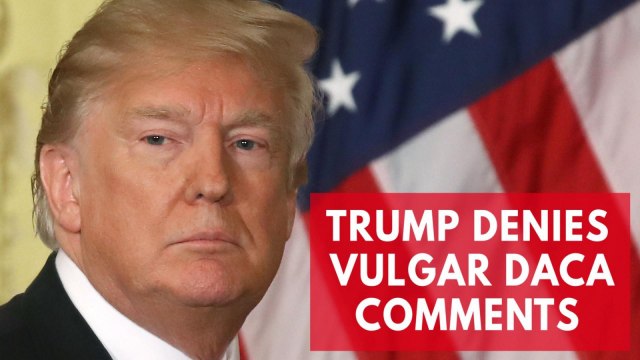 Trump denies making 's**thole countries' comment at DACA meeting