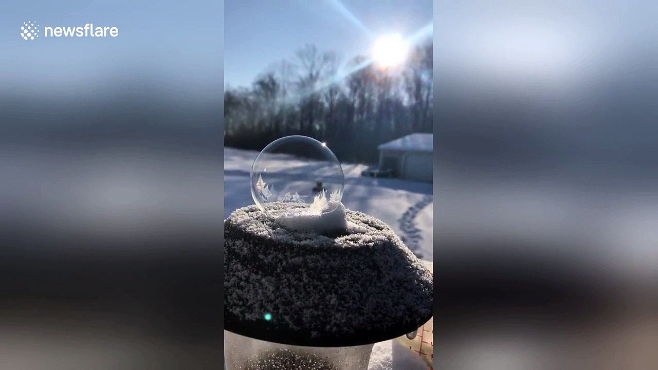 Watch a bubble freeze in real-time